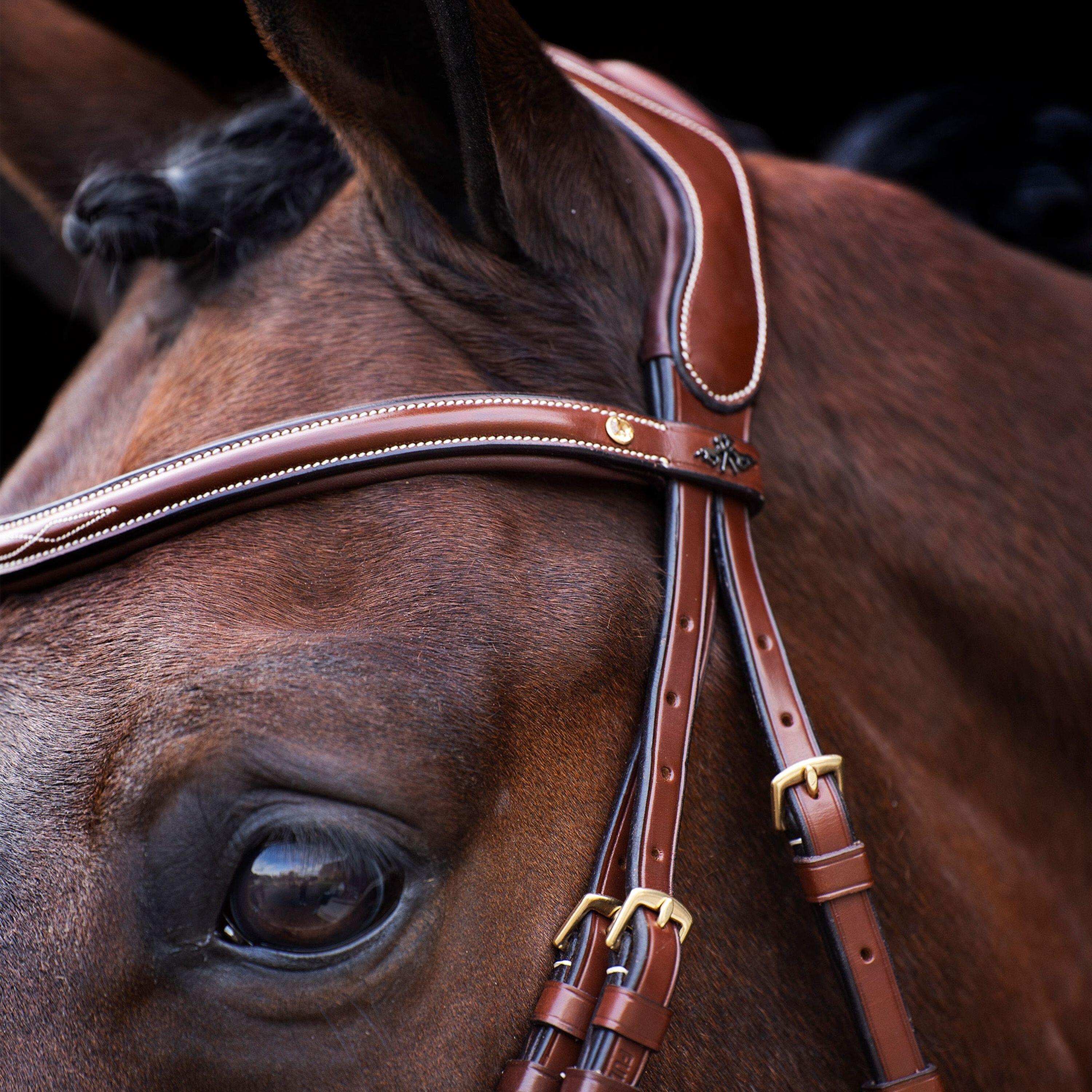 Briglia combinata da equitazione con nasello HV Polo Legacy 4/4