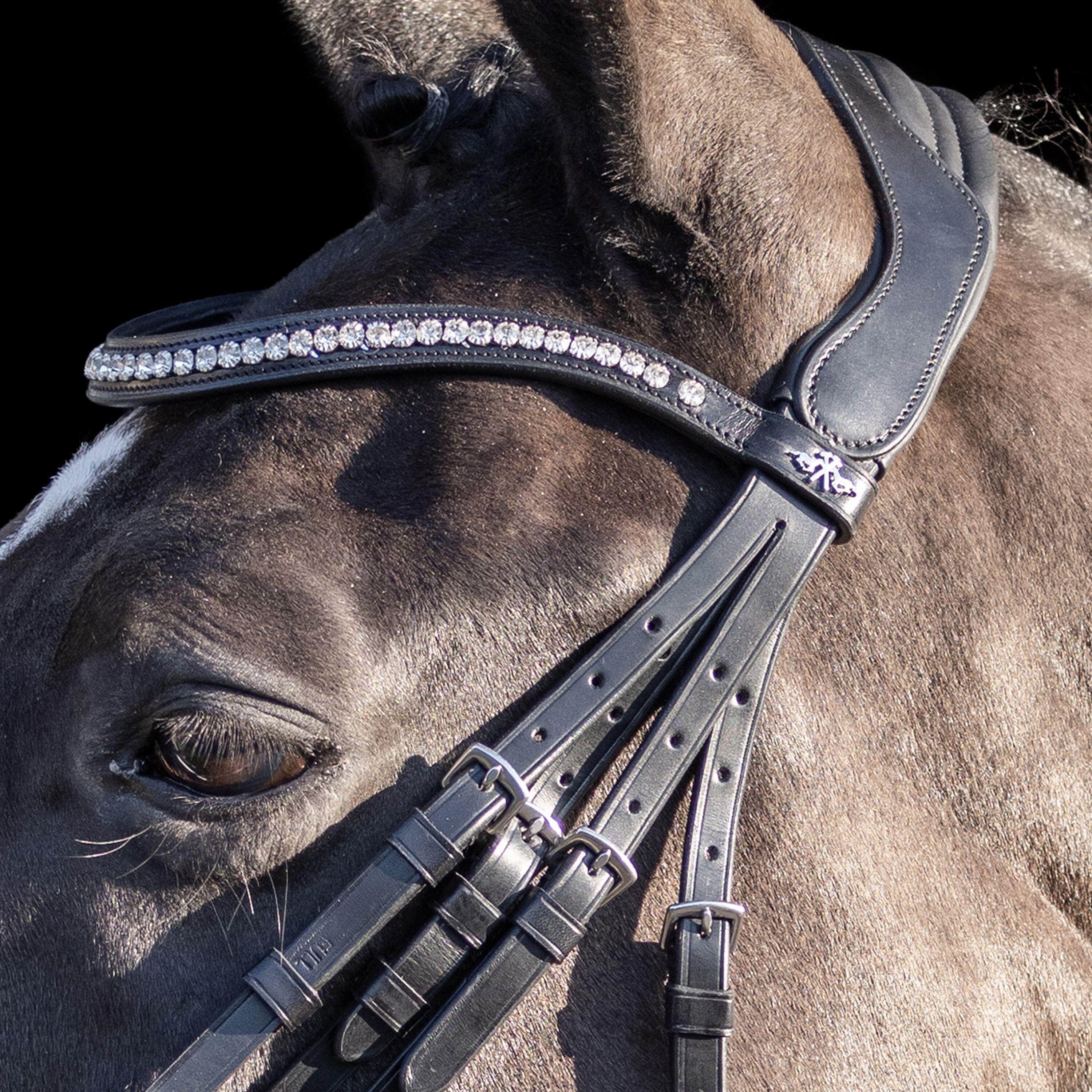 Briglie da equitazione HV Polo Legacy deluxe 3/3