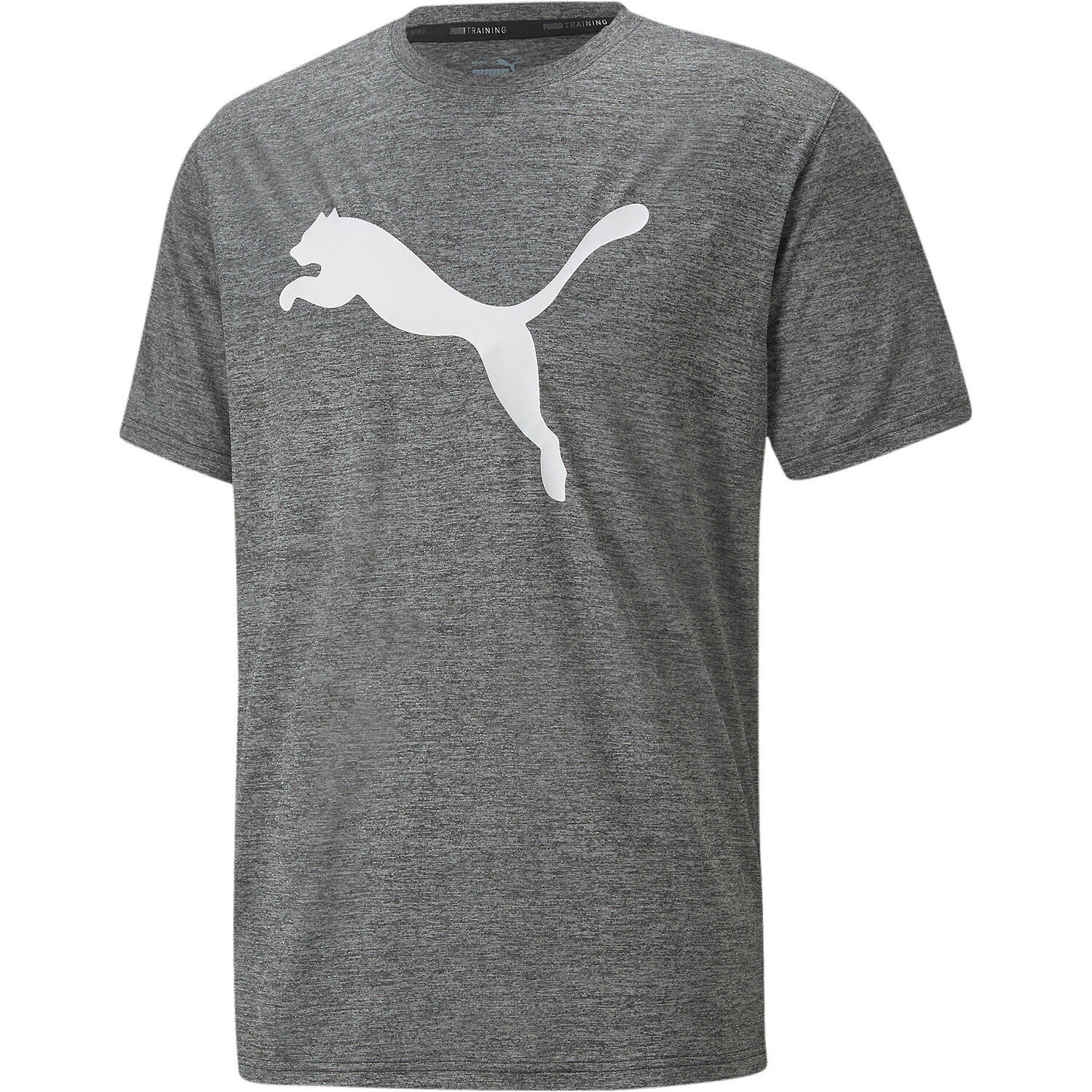 PUMA picture
