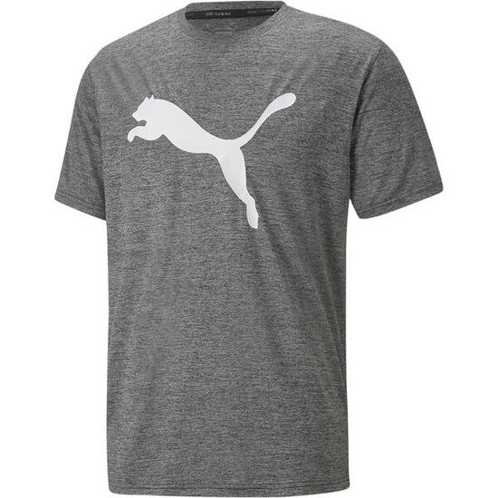 T-shirt d'entraînement homme PUMA Train Fav Heather Cat