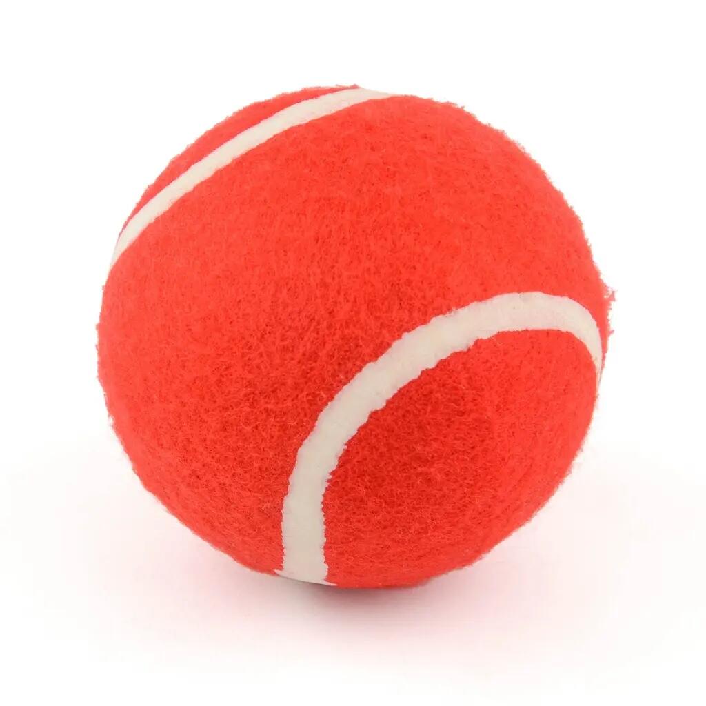 Set da cricket Powerplay 2020 Deluxe 7/7