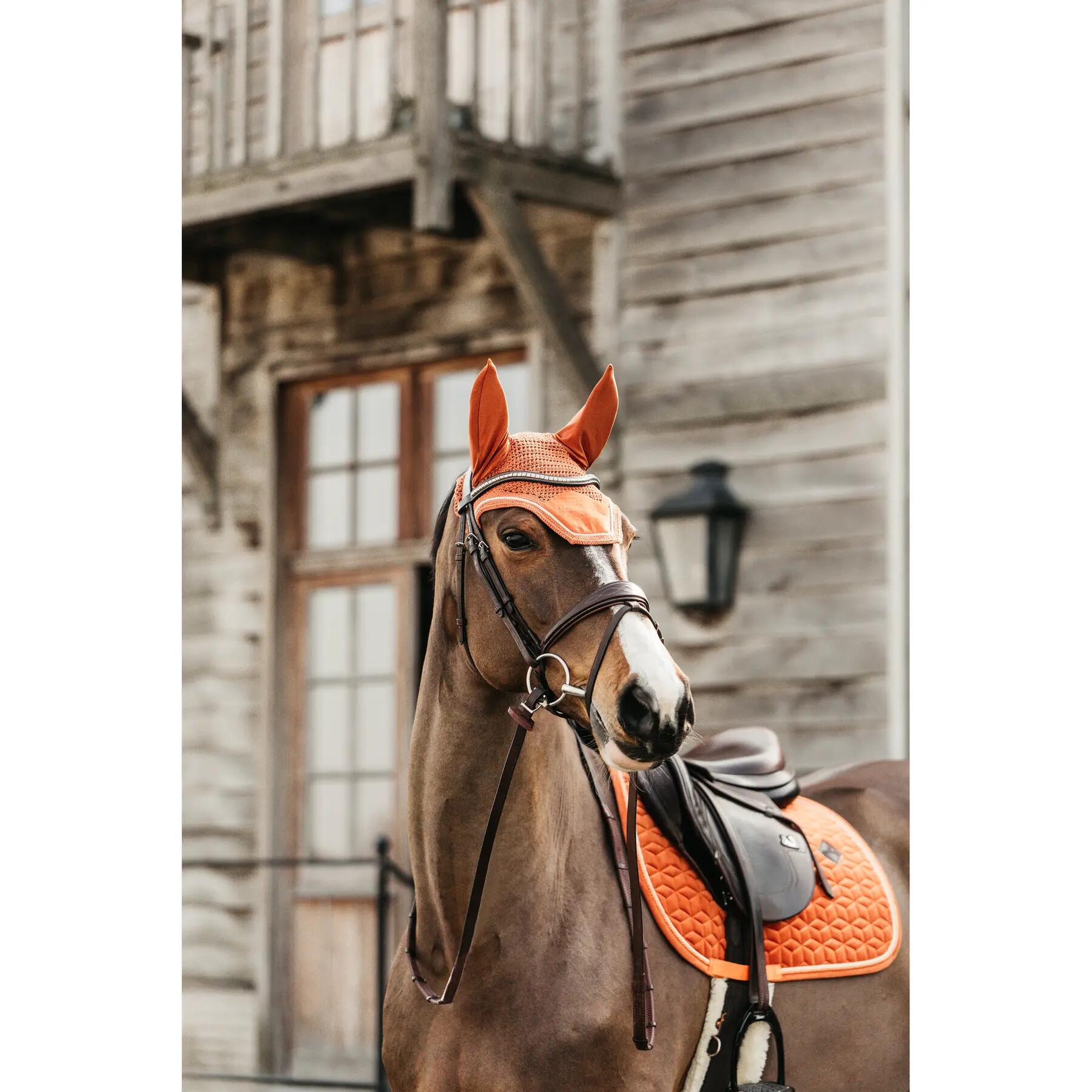 Tapis de selle velours orange pony 5/7