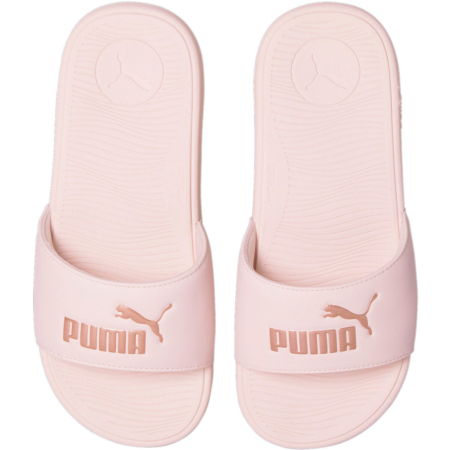 PUMA picture