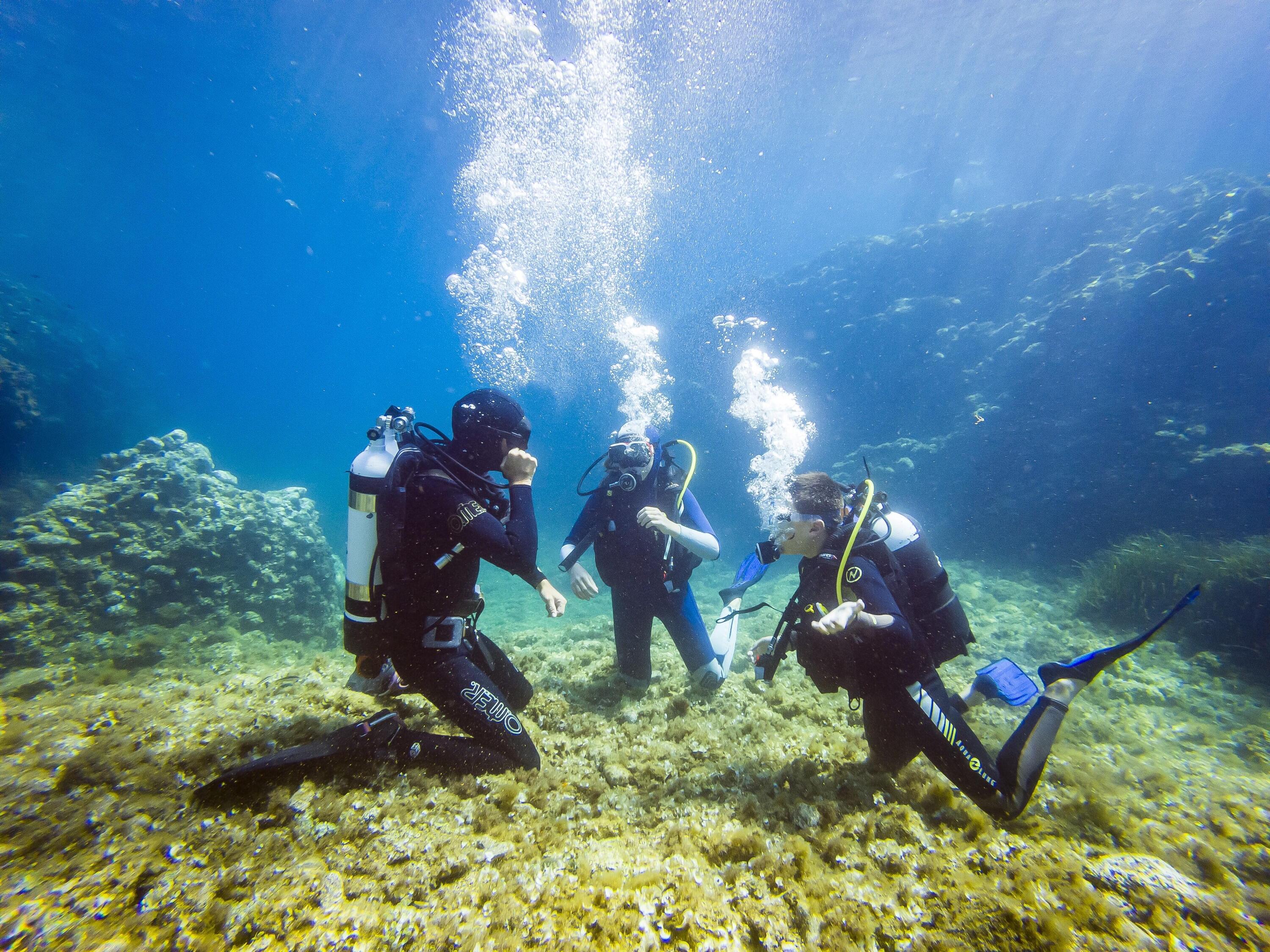 Bali côté mer : initiation à la plongée et coraux tropicaux 1/1