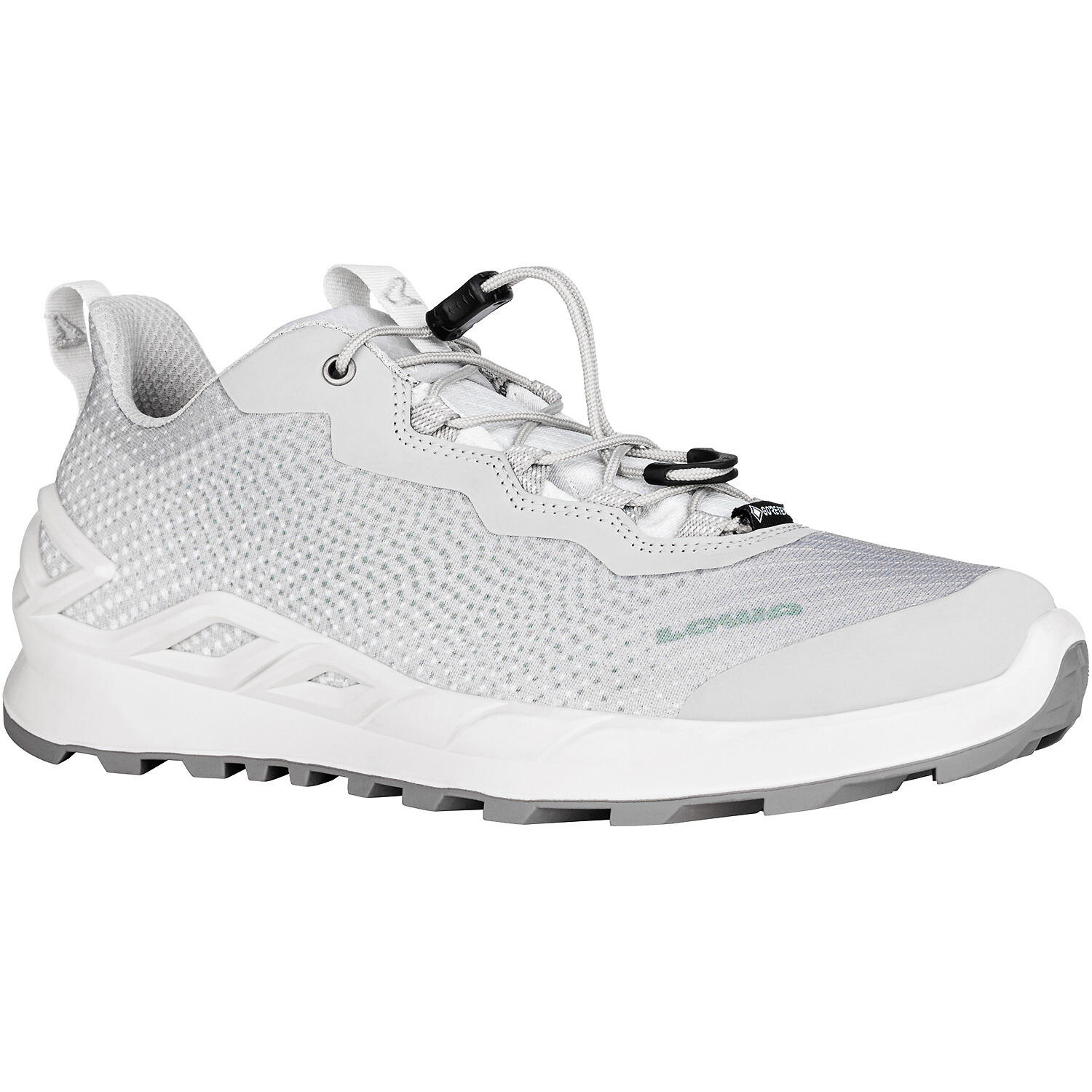 Damen Multifunktionshalbschuh WMERGER GTX LO 2/5