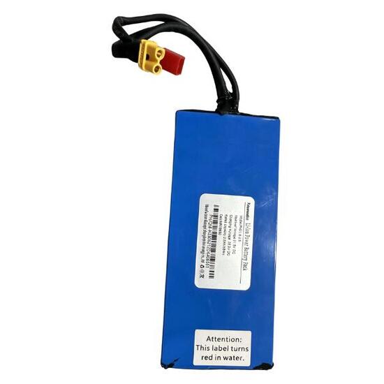 Batterie pour trottinette électrique R11S 25,2 V 2,6 Ah