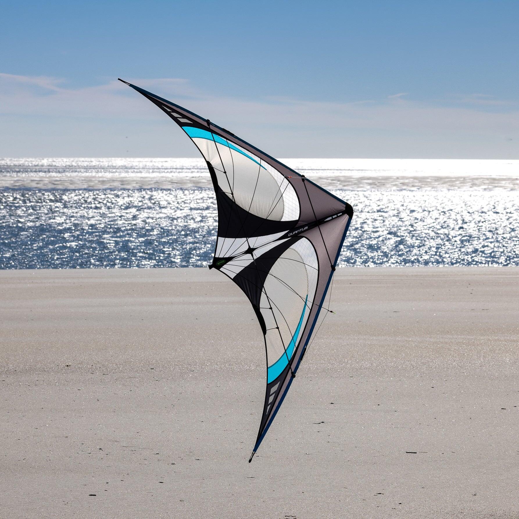 Aquilone acrobatico Prism Quantum 2.0 Onyx QUAOX Grigio 221 cm 5/6