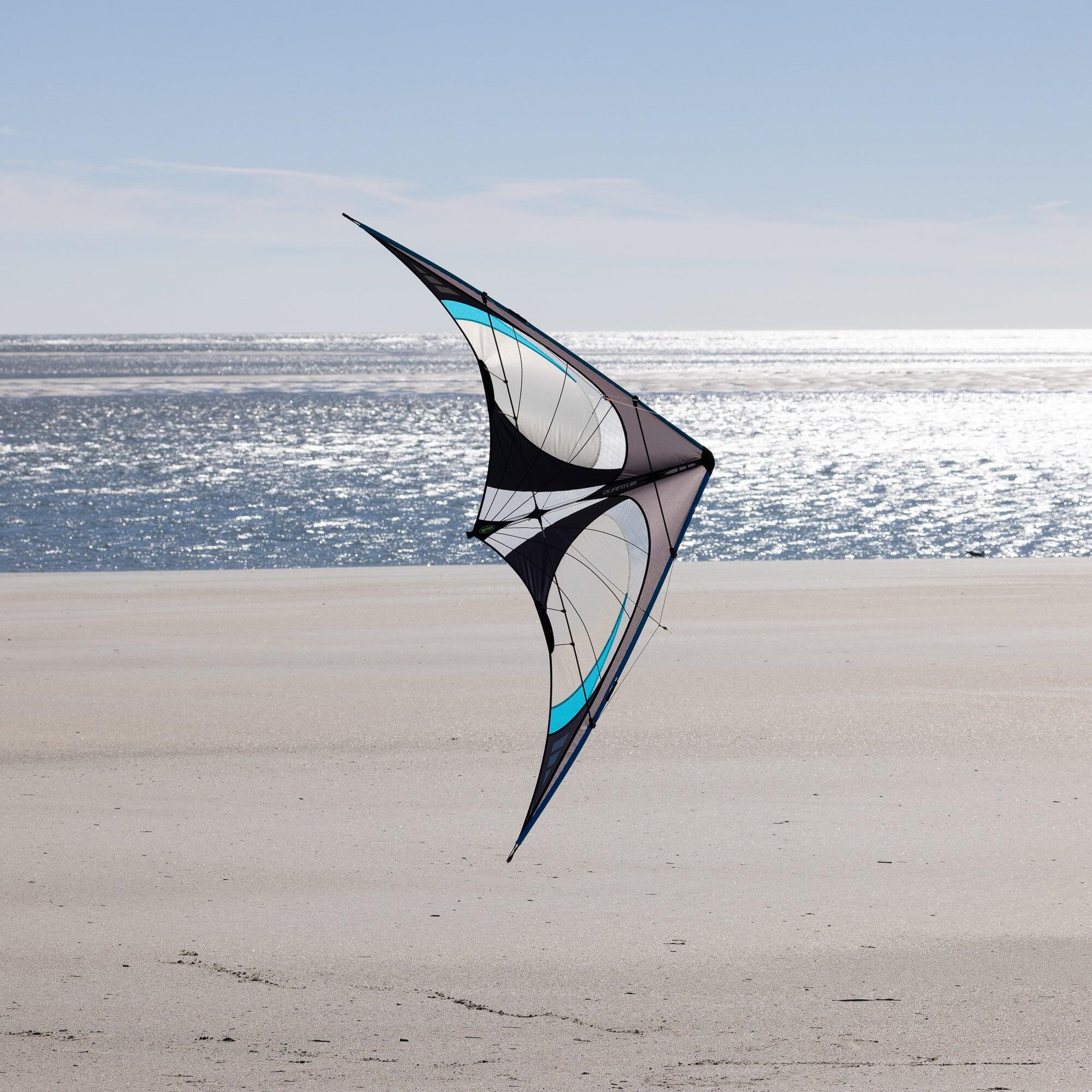 Aquilone acrobatico Prism Quantum 2.0 Onyx QUAOX Grigio 221 cm 4/6