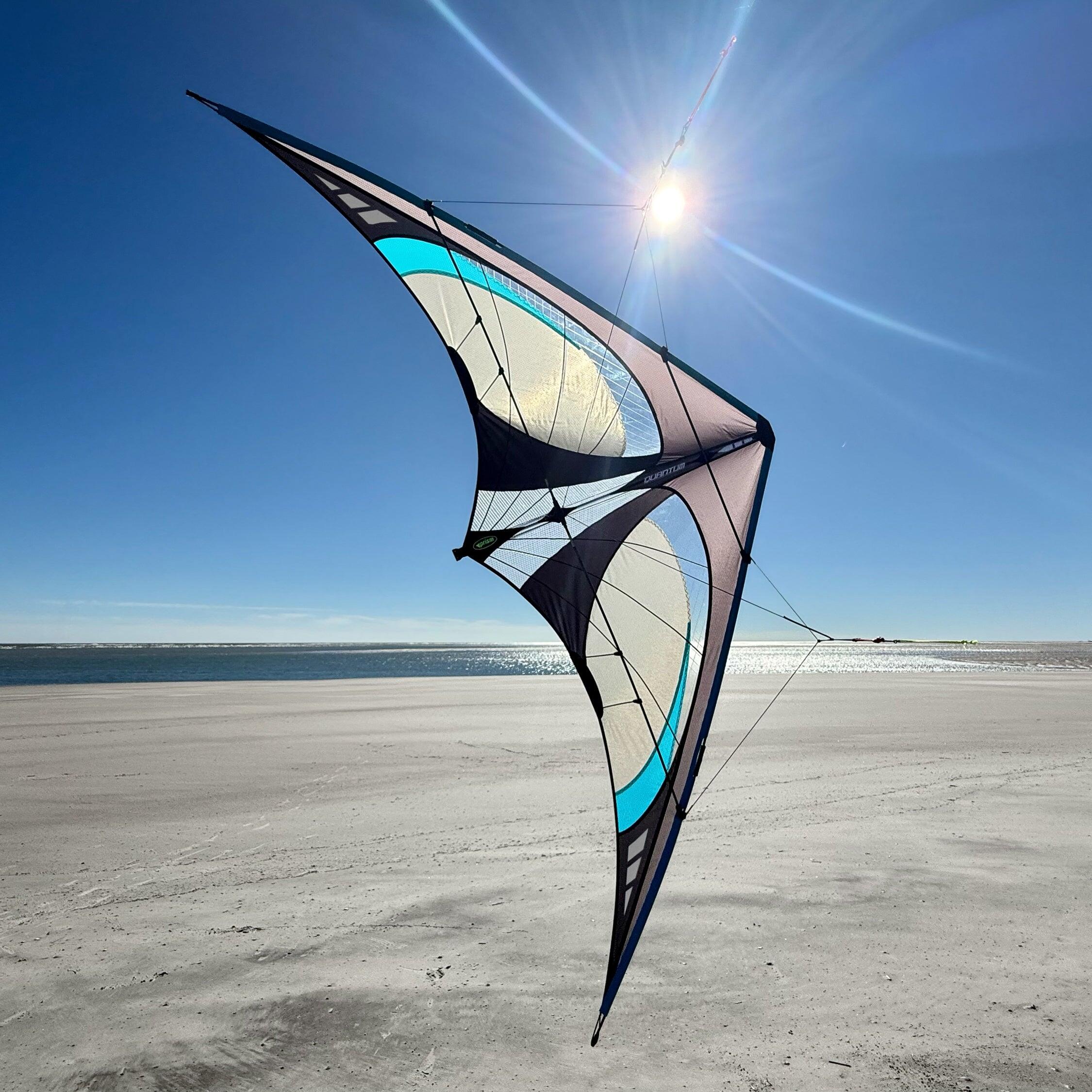 Aquilone acrobatico Prism Quantum 2.0 Onyx QUAOX Grigio 221 cm 6/6