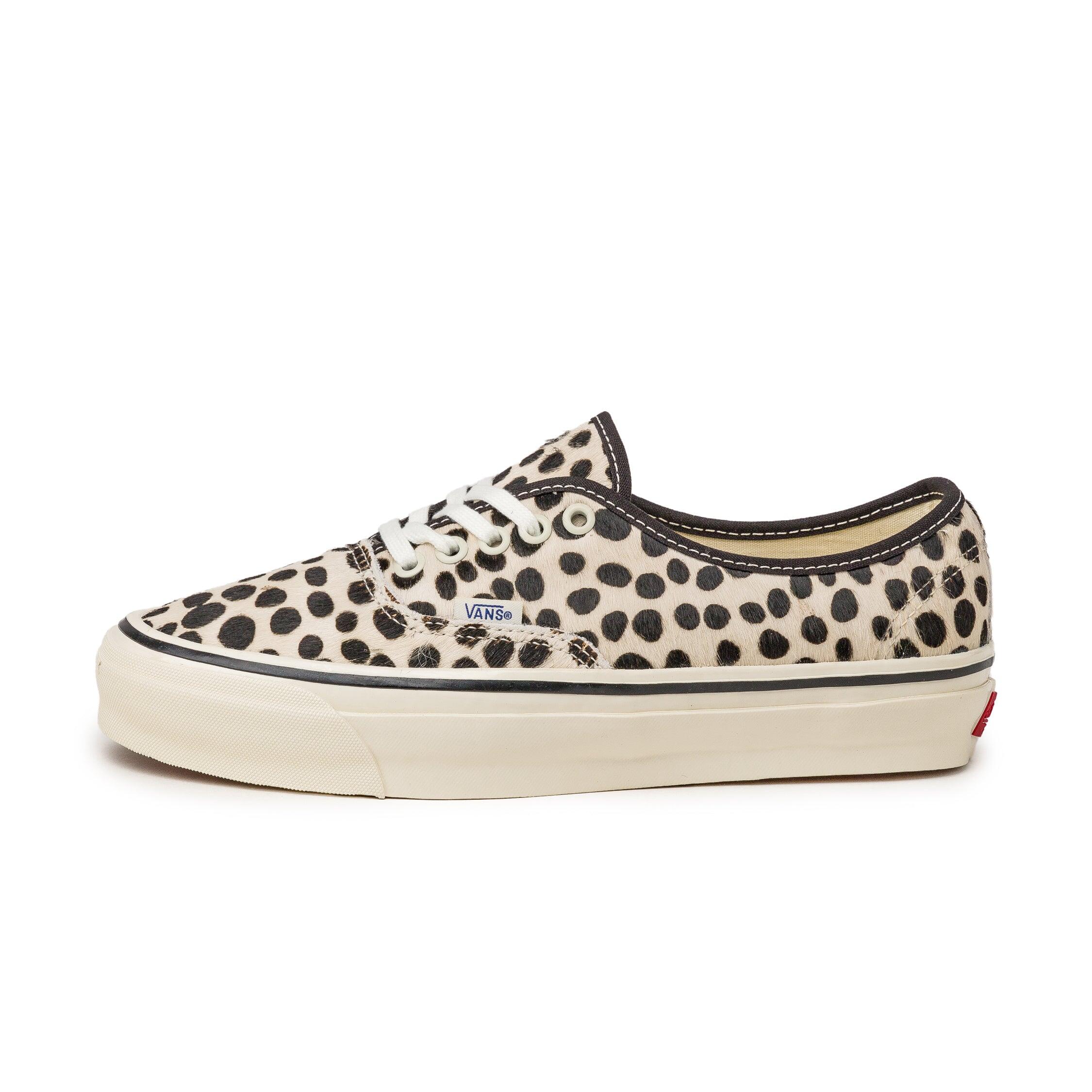 VANS picture