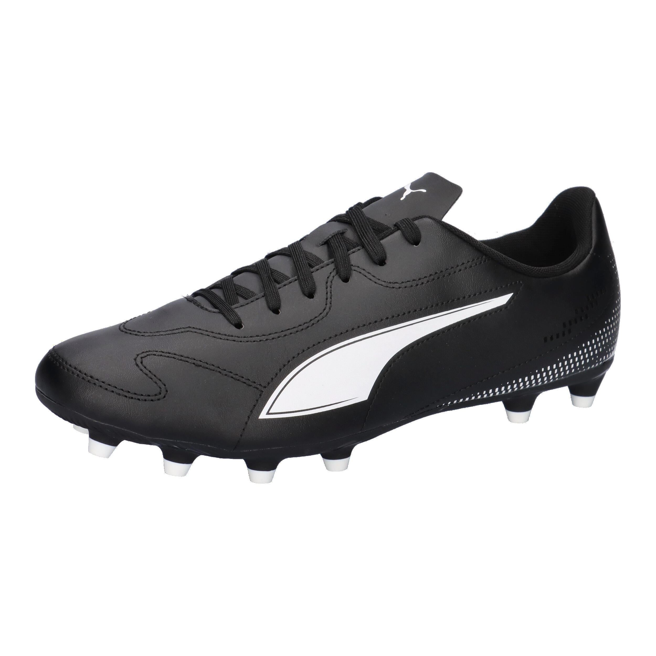 PUMA picture