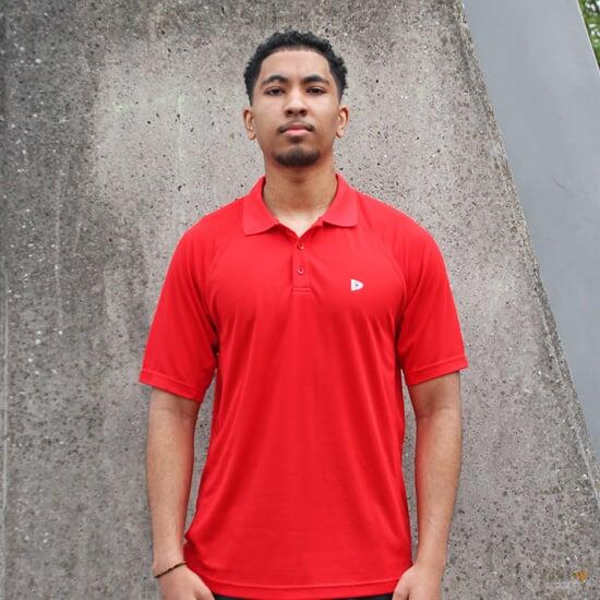2er-Pack Donnay Herren Multisport Polo Björn 3/5