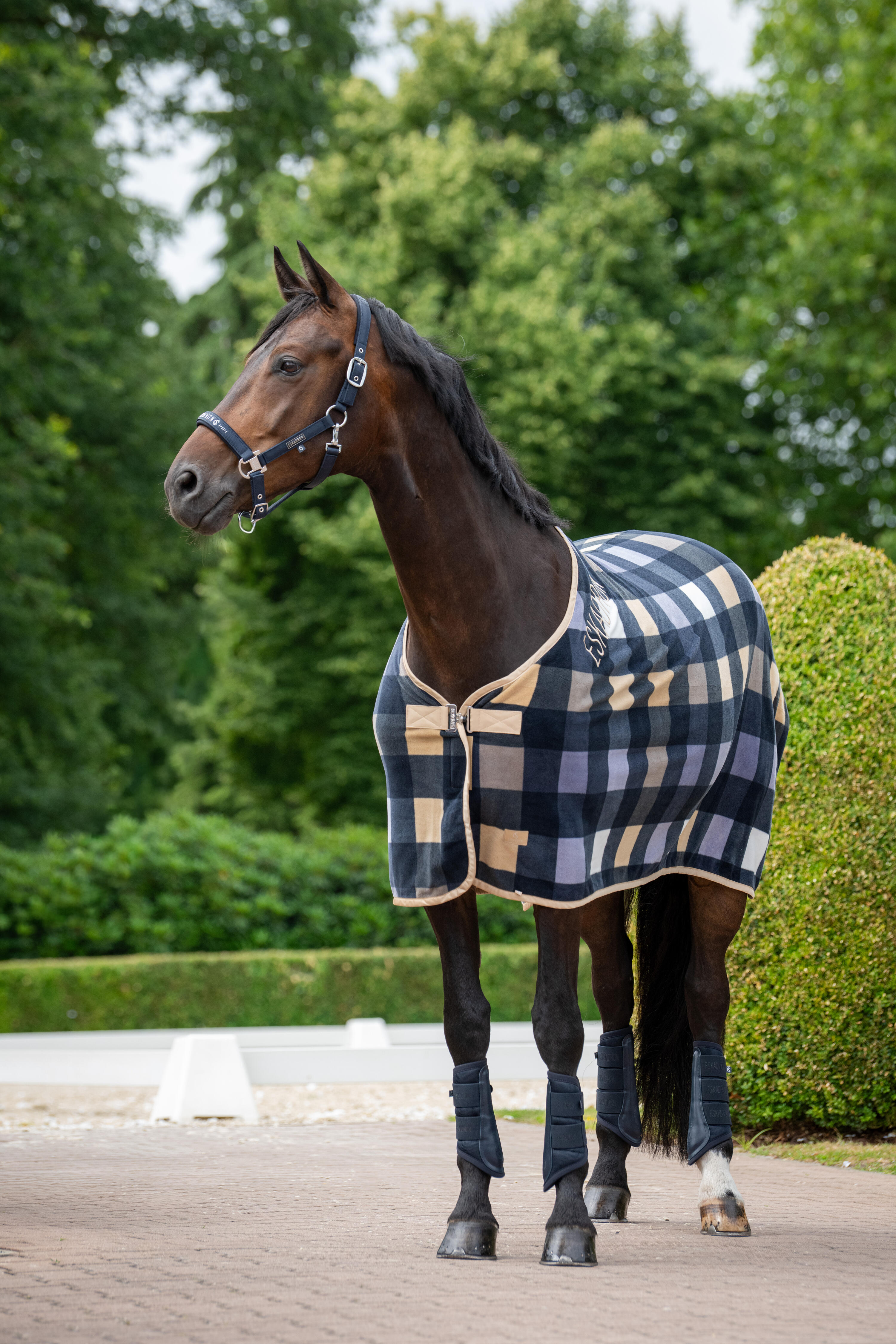 Halfter Classic Sports Sparkle dunkelblau 2/2