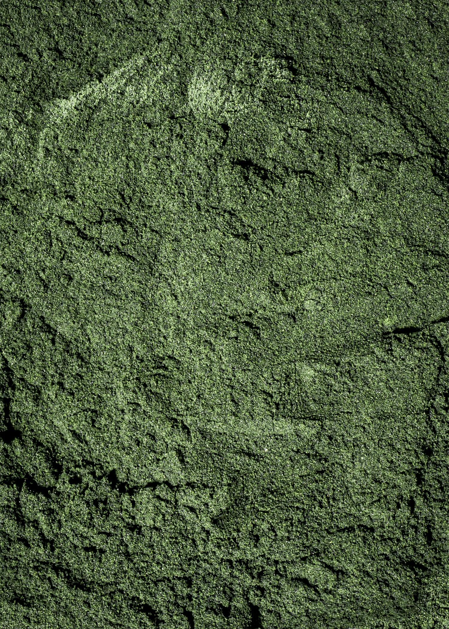Spiruline en poudre bio 500 g 3/7