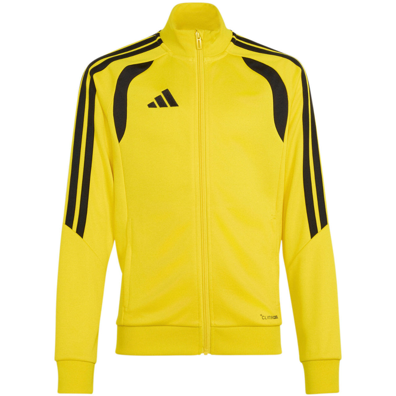 ADIDAS picture