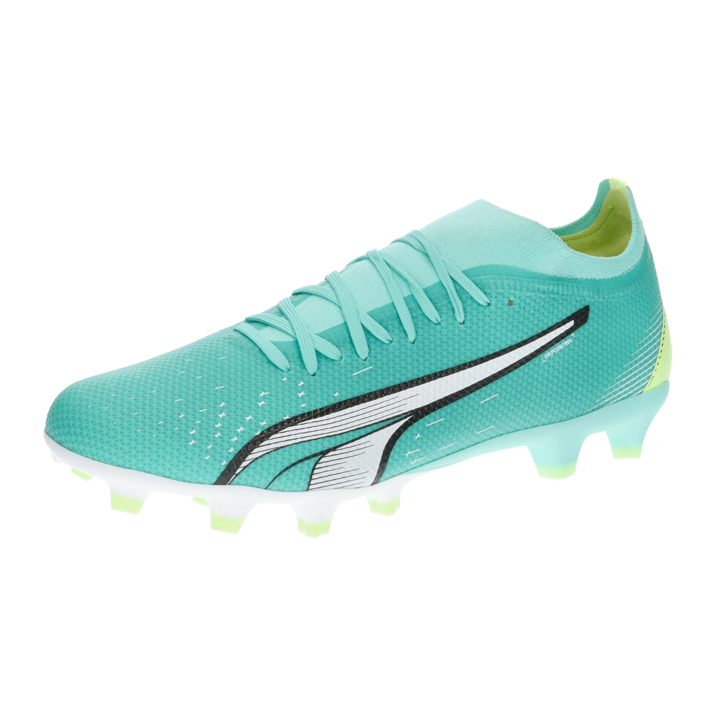PUMA picture