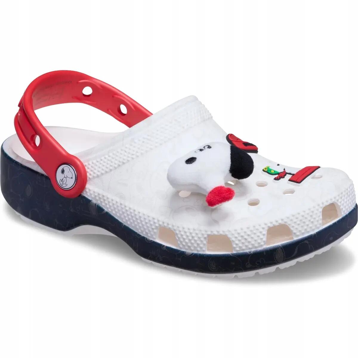 CROCS picture