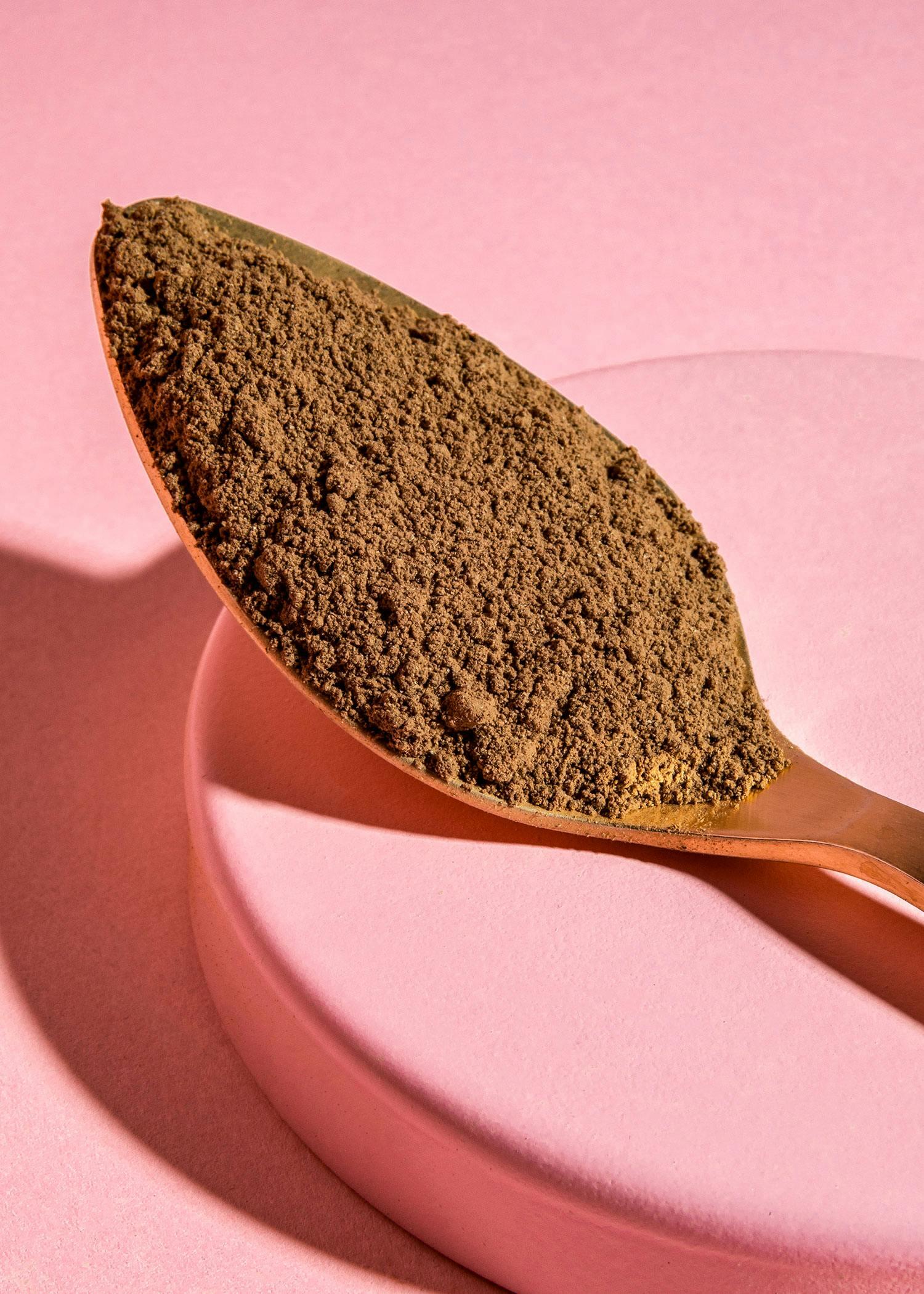 Reishi bio in polvere | 250 g 3/6