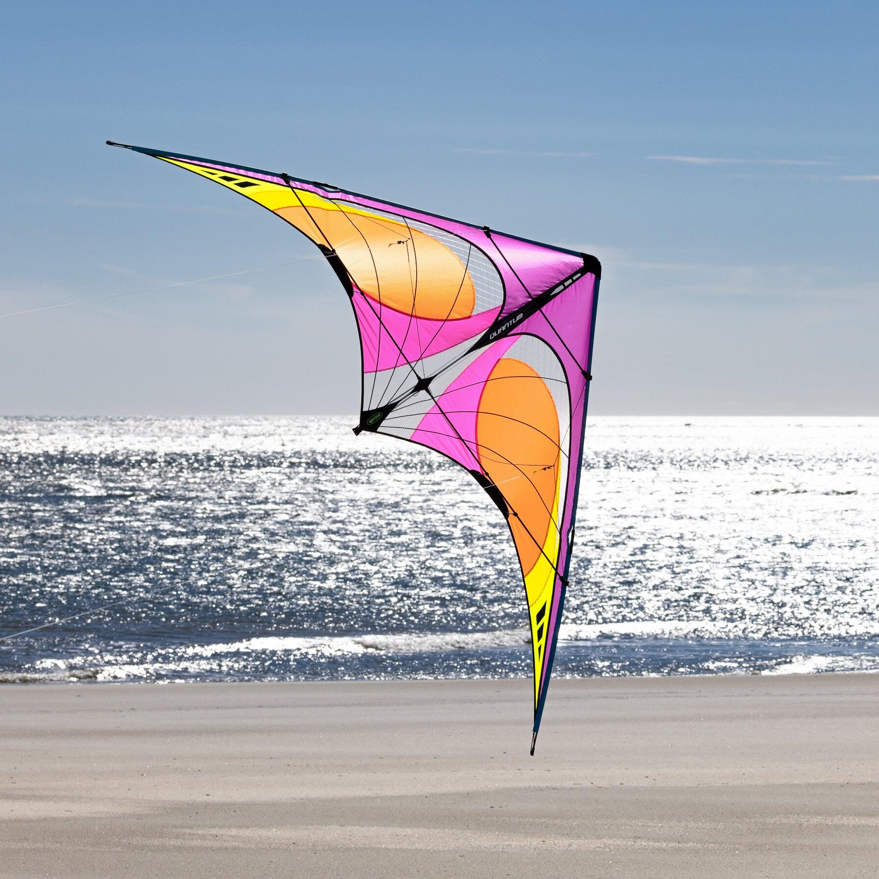 Aquilone acrobatico Prism Quantum 2.0 Sunset QUAST Viola 221 cm 4/7