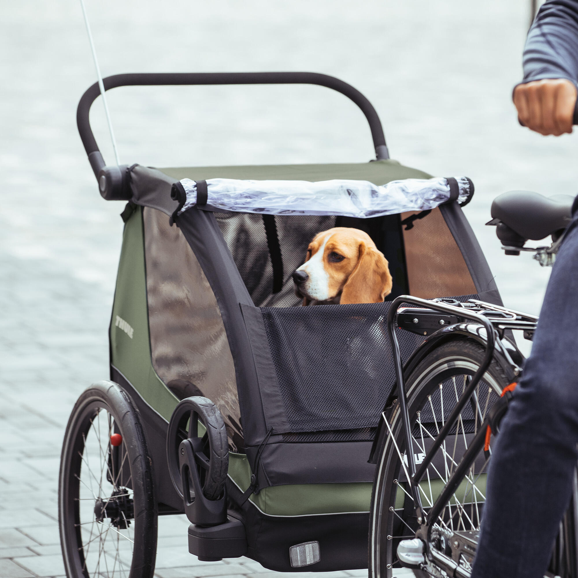 Remolque de bicicleta THULE Courier en verde vintage 7/7