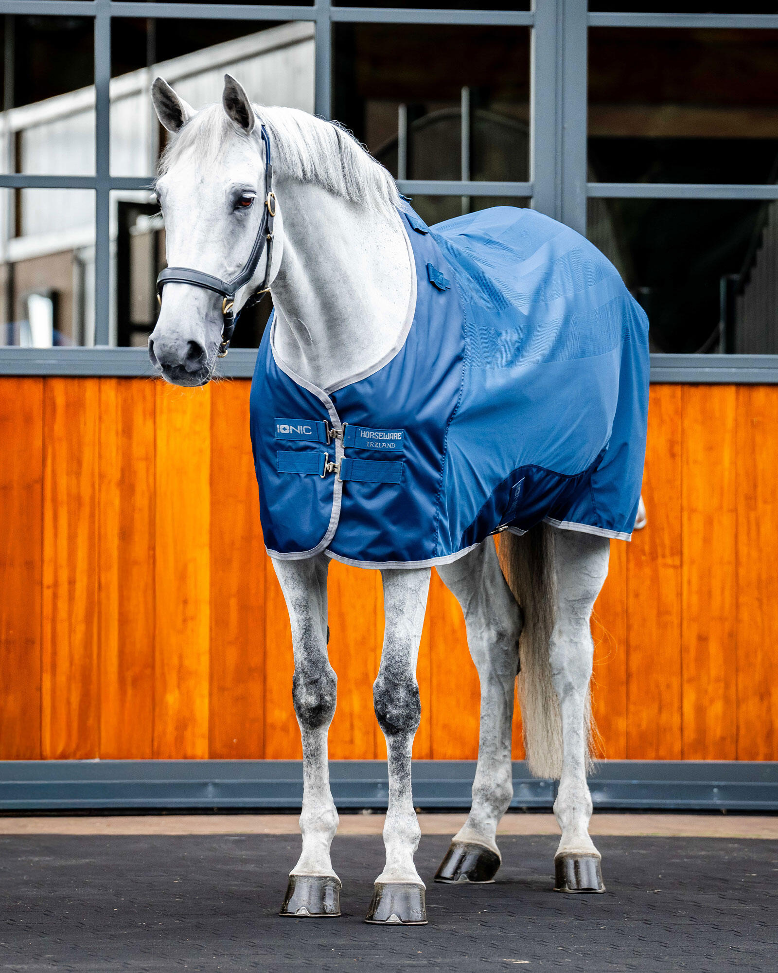 HORSEWARE IRELAND picture
