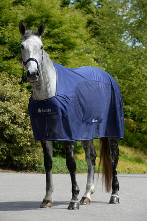 Couverture séchante pour cheval Bucas Competition Cooler