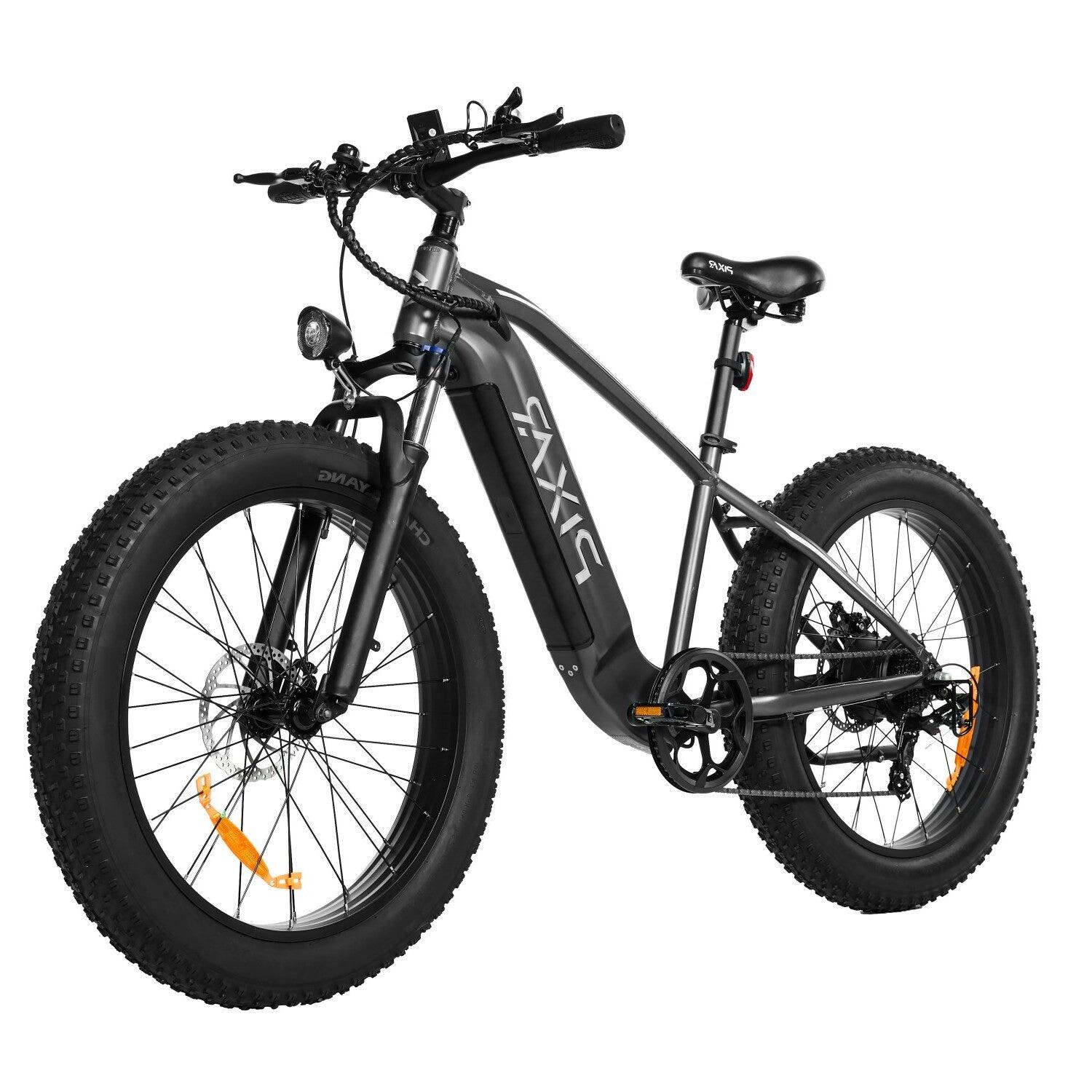 Pixar SPACE1 500W 48V 20Ah 26"*4 Gris Vélo électrique Freins à Disque 5/5