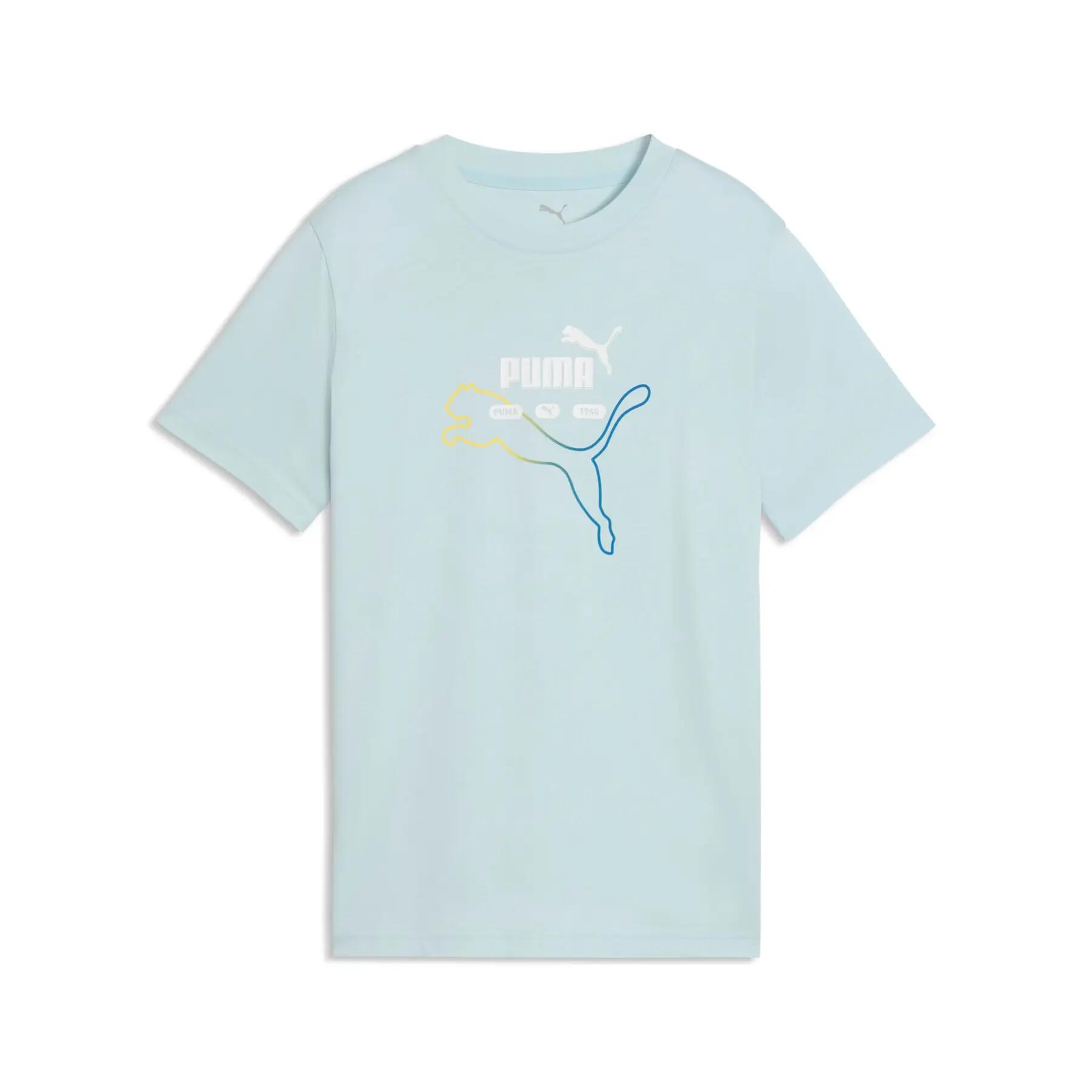 PUMA picture
