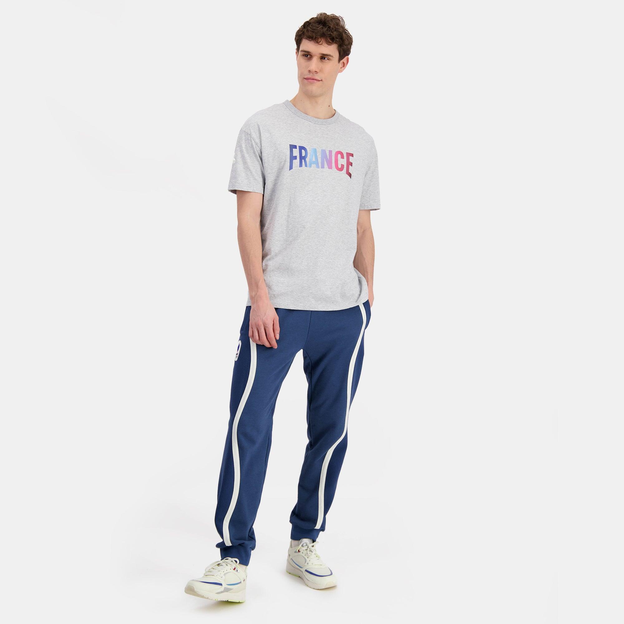 Camiseta Gris de Hombre Le Coq Sportif Efro 24 5/5