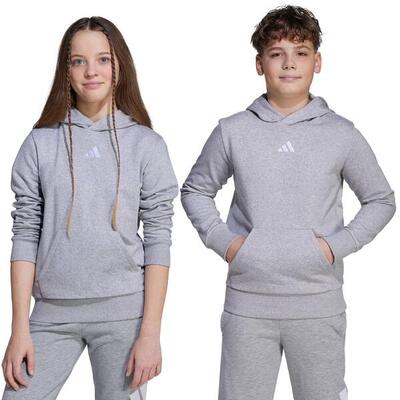 Adidas essentials hoodie voor kinderen