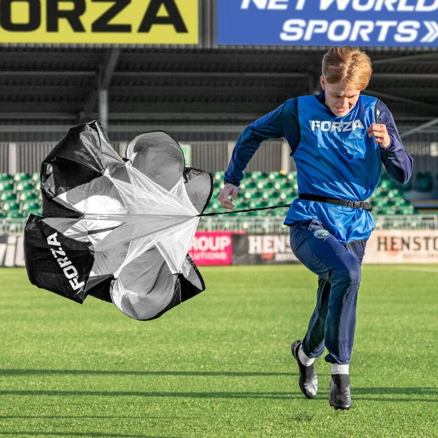 FORZA picture