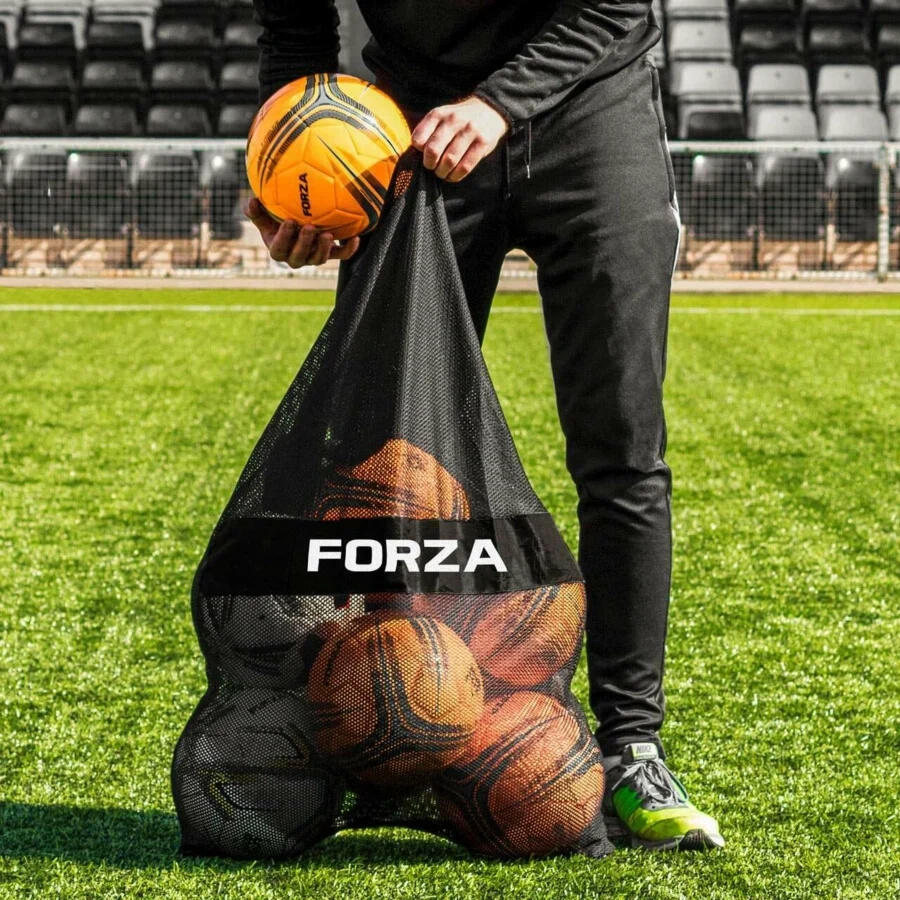 FORZA picture