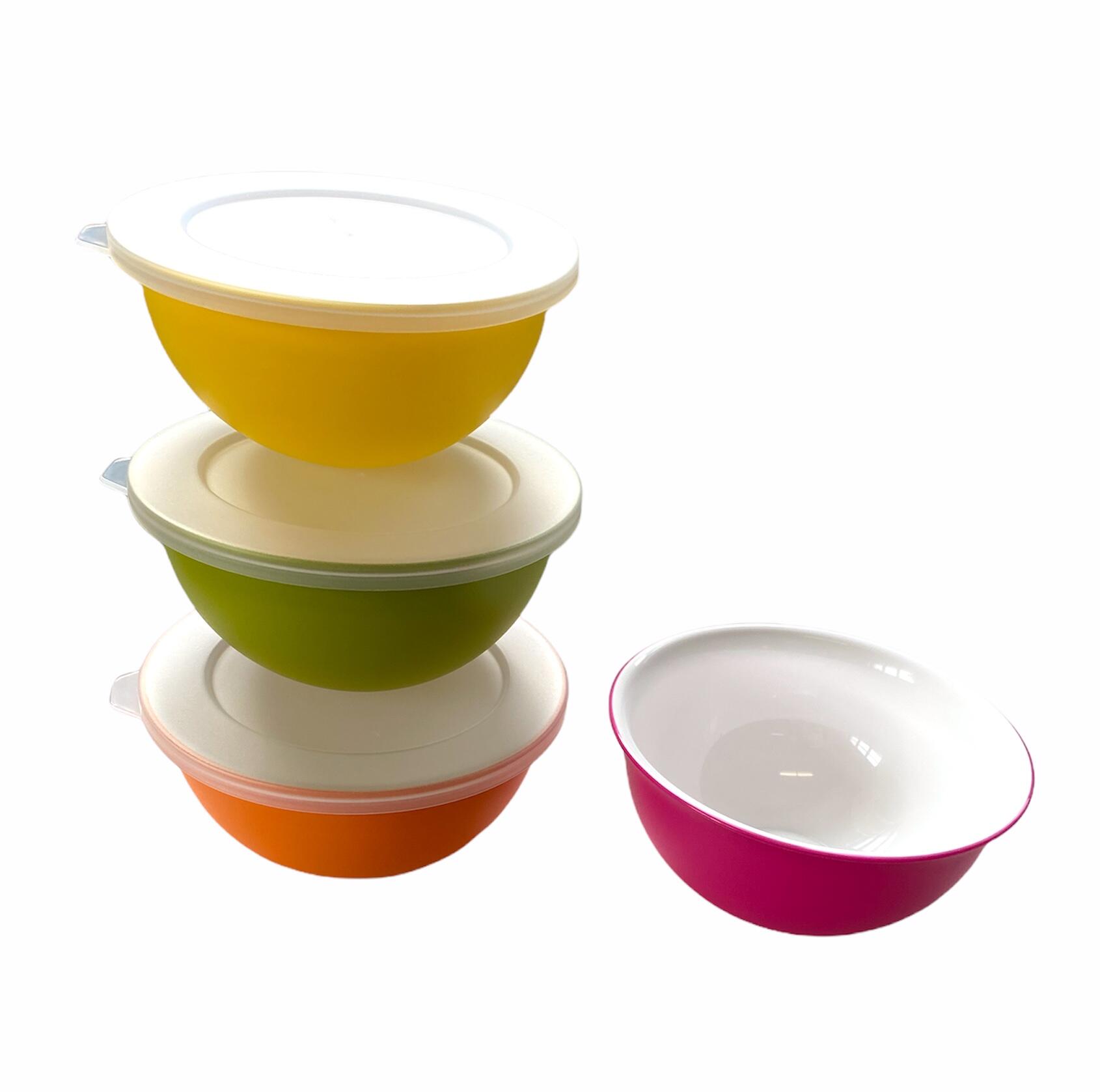 Set 4 misek s víčkem Omada Sanaliving Bowls 4x 0,5L & 4x lids 2/7