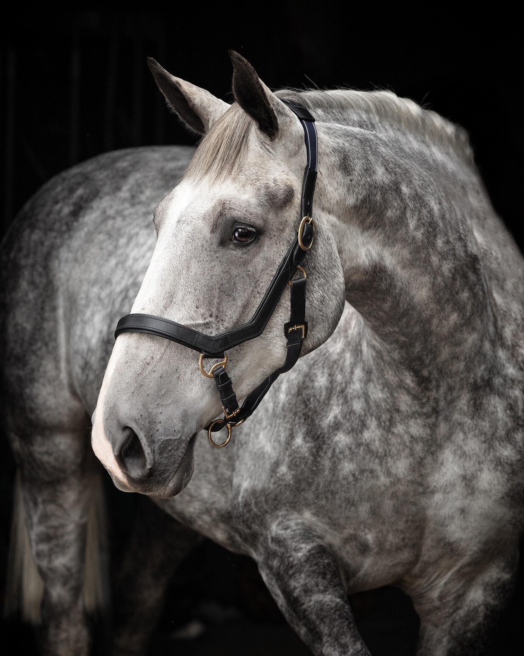 HORSEWARE IRELAND picture