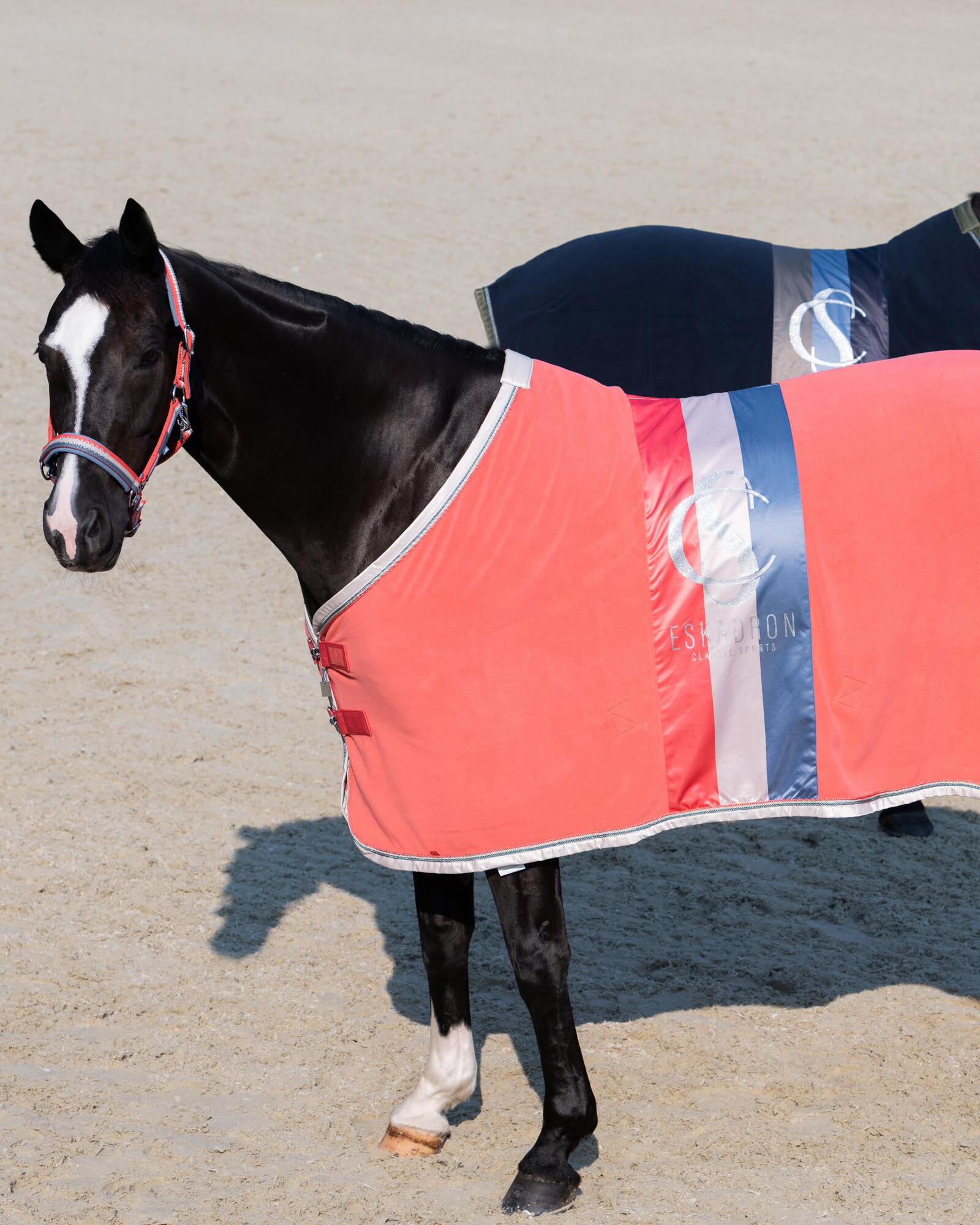 Abschwitzdecke Classic Sports Fleece Stripe coral blossom 3/3