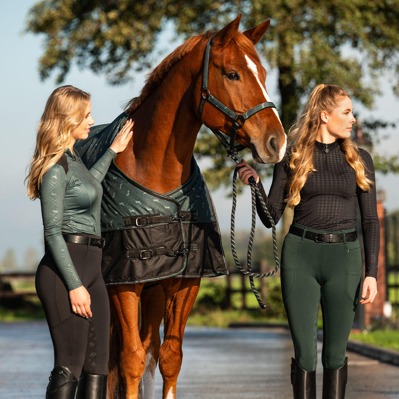 Reitlegging Avélie Vollbesatz schwarz 5/7