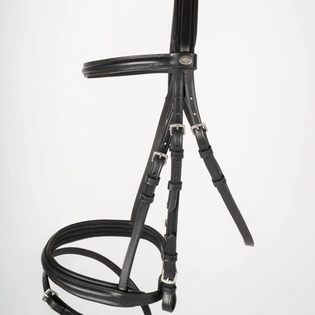 Riding bridles Kavalkade Quentin