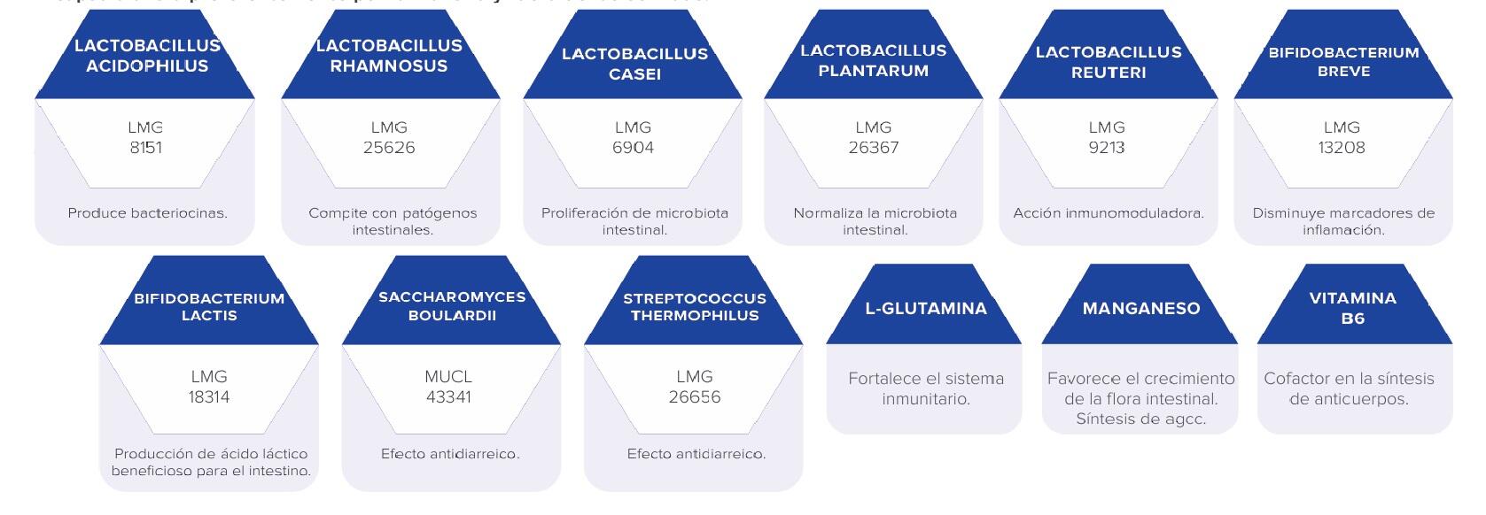 Probiótico 35Md 30 Kapseln SportDone 3/3