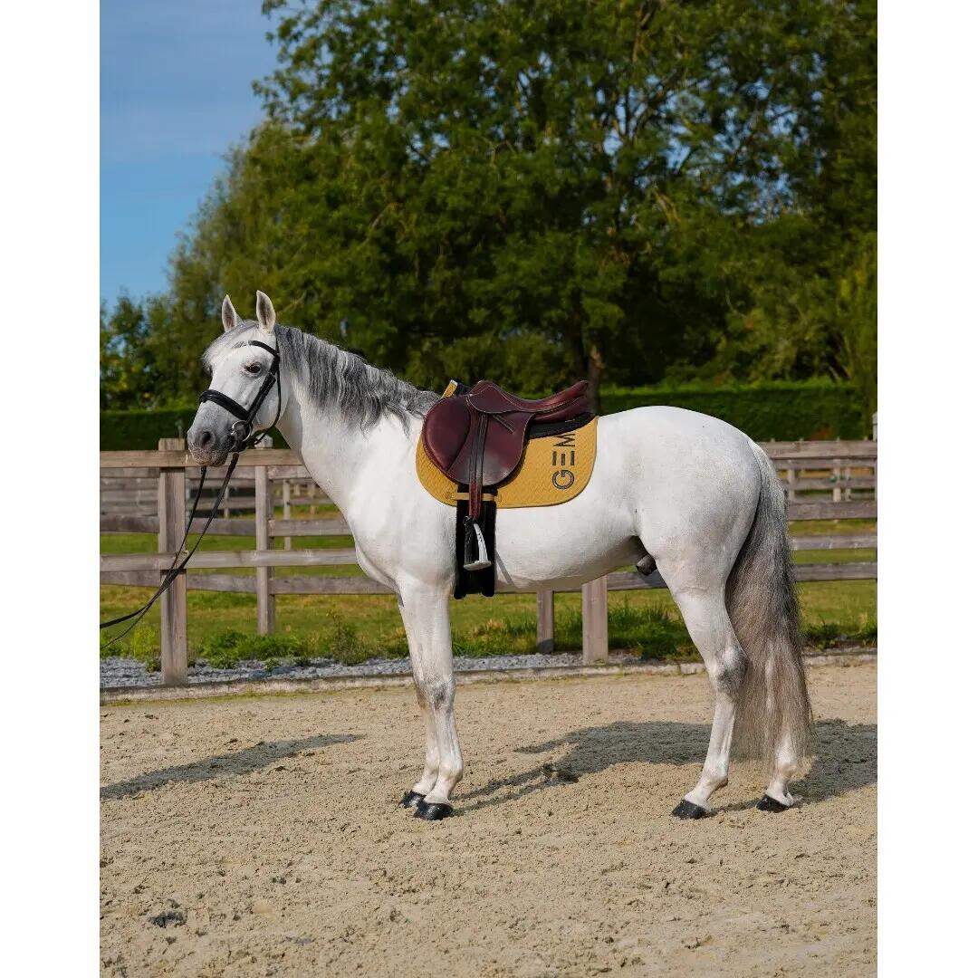 Mantilla para caballos GEM Ten Obstacle 4/5