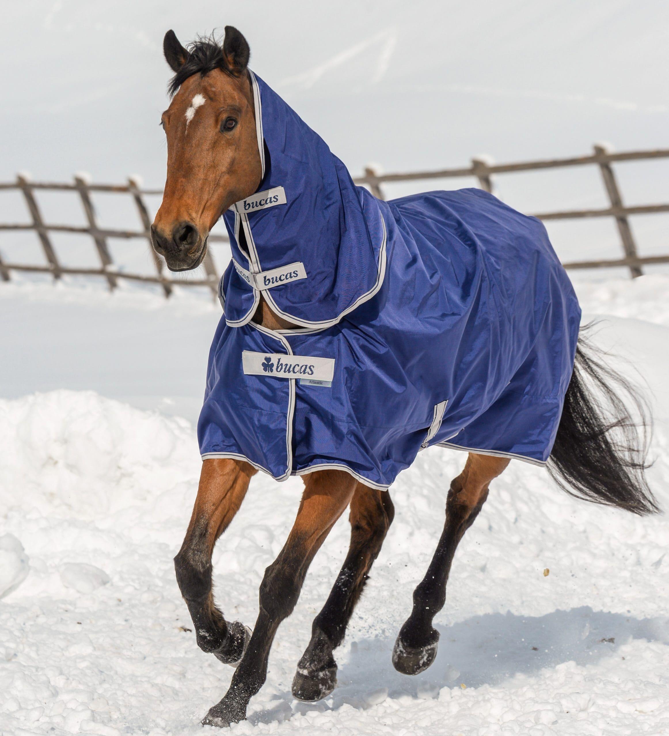 Halsteil Atlantic Combi Neck dunkelblau 2/3