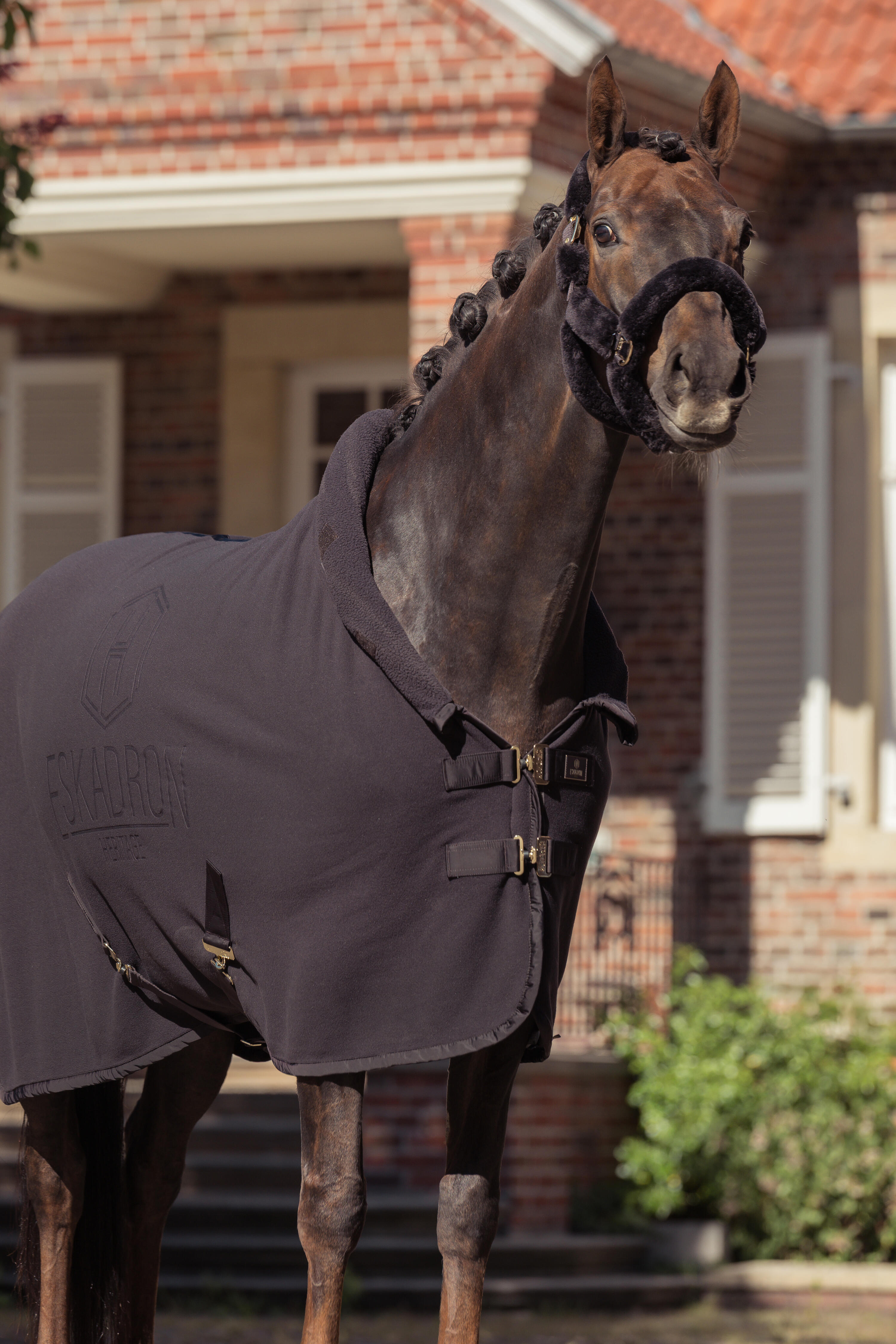 Halfter Heritage Faux Fur Complete in black truffle 2/3