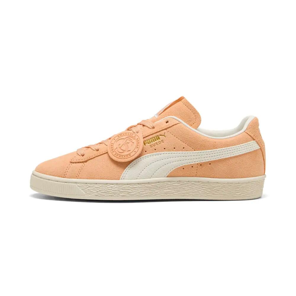 PUMA picture