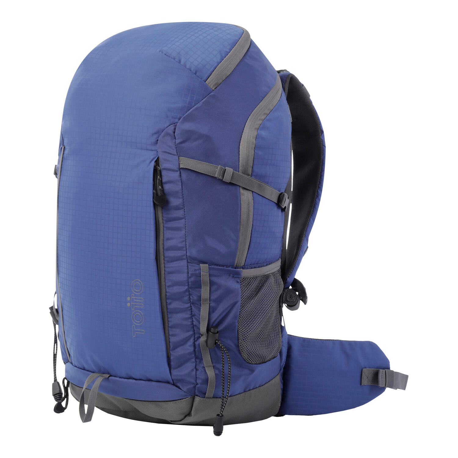 Totto Mochila viaje Denali Azul Poliamida 31 x 51 x 15.5 cm 2/5