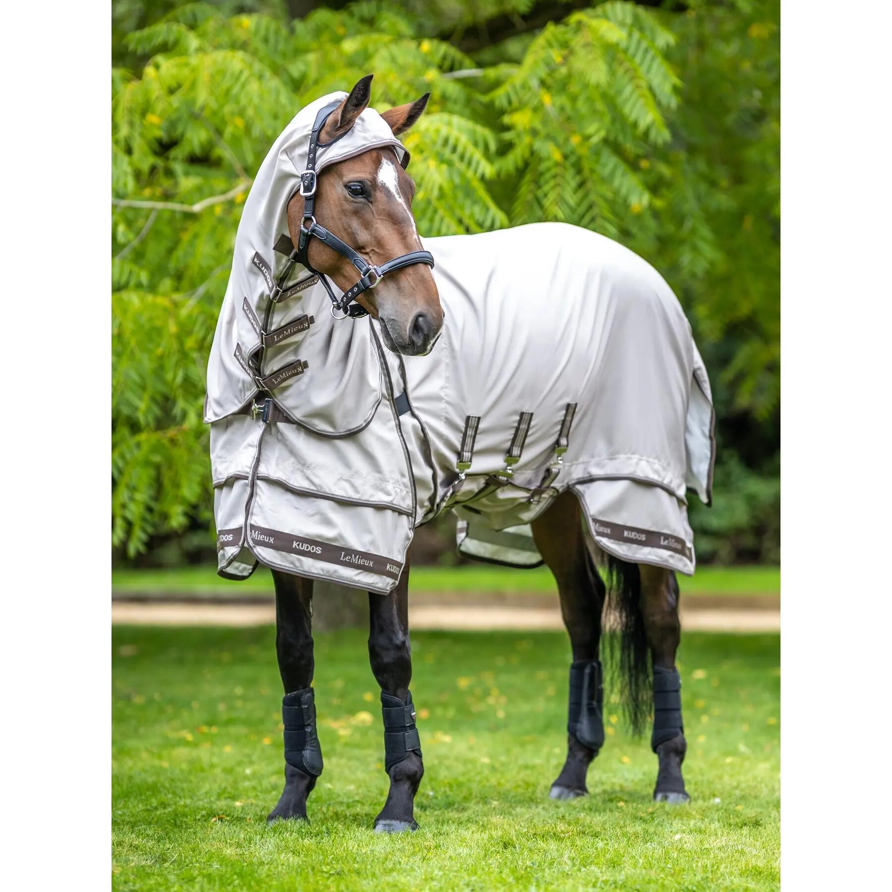 Outdoor paardendeken LeMieux Kudos Sweet 3/7