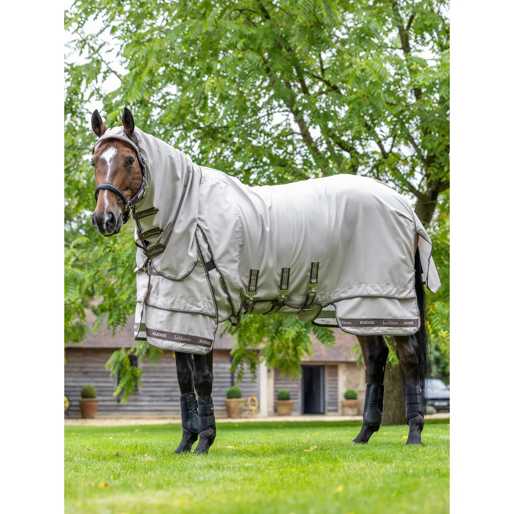 Outdoor paardendeken LeMieux Kudos Sweet 2/7