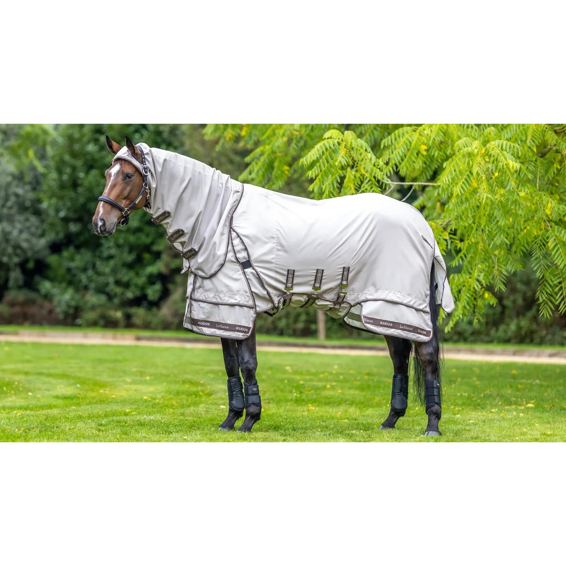 Outdoor paardendeken LeMieux Kudos Sweet 1/7