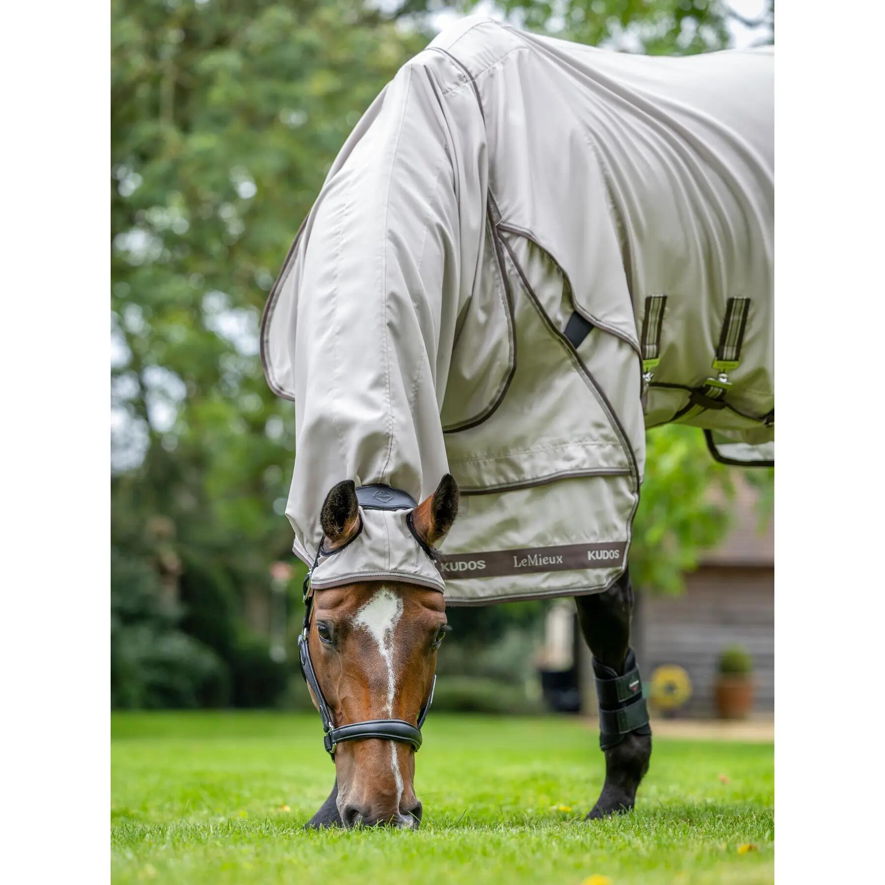 Outdoor paardendeken LeMieux Kudos Sweet 4/7