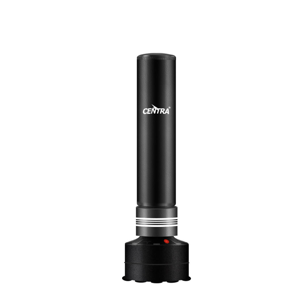 Centra Boxing Punching Bag Free Standing Speed Bag Dummy UFC Kick Training