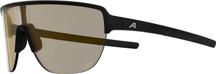 Alpina Ram 2.0 Q-Lite - Sportbrille