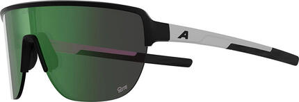 Alpina Ram 2.0 Q-Lite - Sportbrille